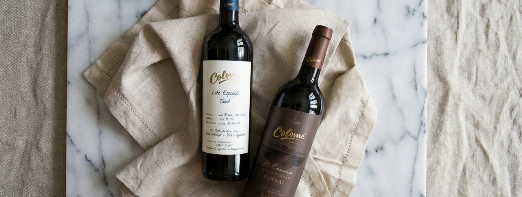 Τι είναι το Tannat και γιατί δεν είναι μόνο για όσους πίνουν «βαριά» κόκκινα