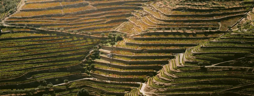 Τι σημαίνει terroir στην πράξη και όχι στη θεωρία