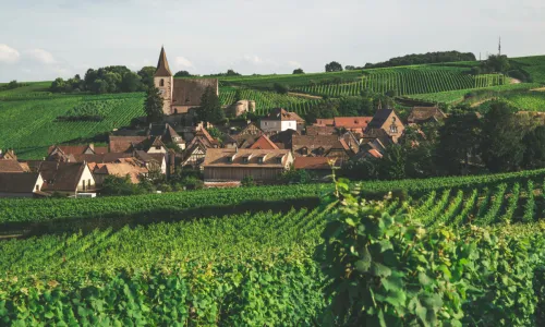 Αλσατία: Κρασιά που δεν χωράνε σε στερεότυπα
