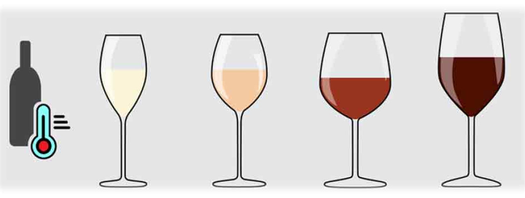Wine Myths We Need to Stop Believing